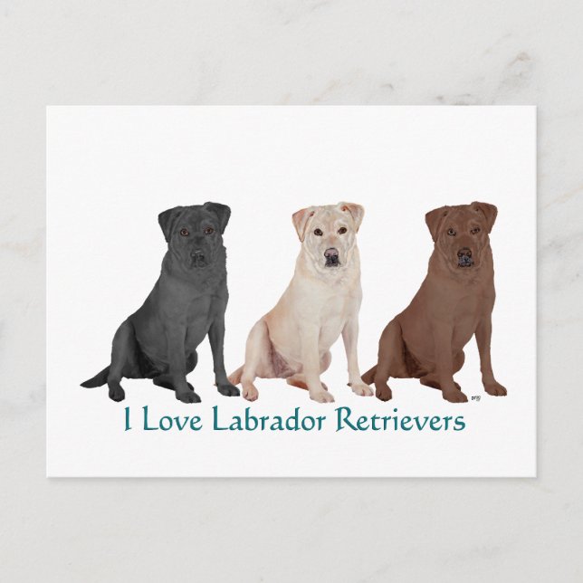 Black Labrador Retriever Sailor Post  - Customised Postcard (Front)