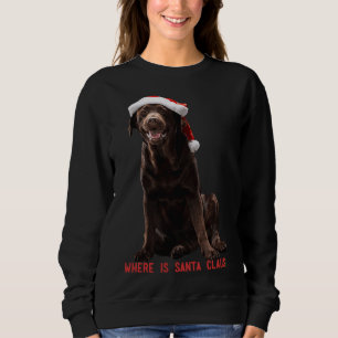 Black Labrador Retriever Sitting With In Christmas Sweatshirt