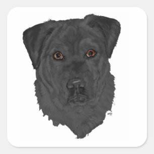 Black Labrador Retriever Square Sticker