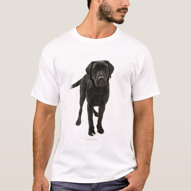 Black labrador retriever T-Shirt (Front)