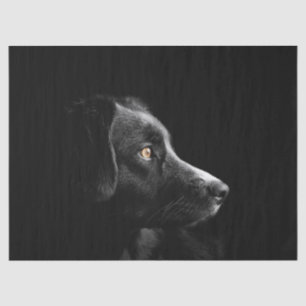 black labrador retriever tissue paper