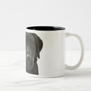 Black labrador retriever Two-Tone coffee mug