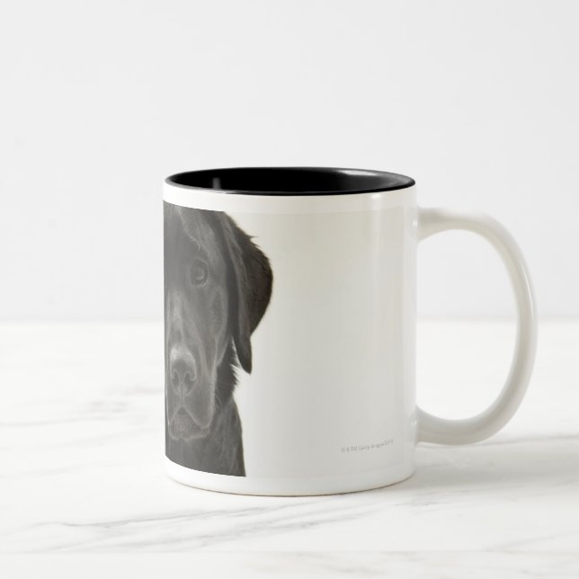 Black labrador retriever Two-Tone coffee mug (Right)