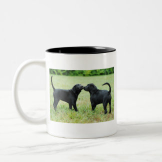 Black Labrador Retriever Two-Tone Coffee Mug