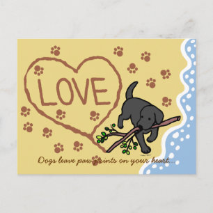 Black Labrador Sand Letters Cartoon Postcard