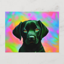 Black labrador sitting in front of a colourful