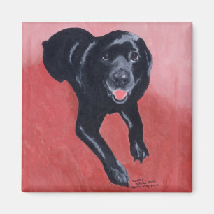 Black Labrador Smiling Magnet