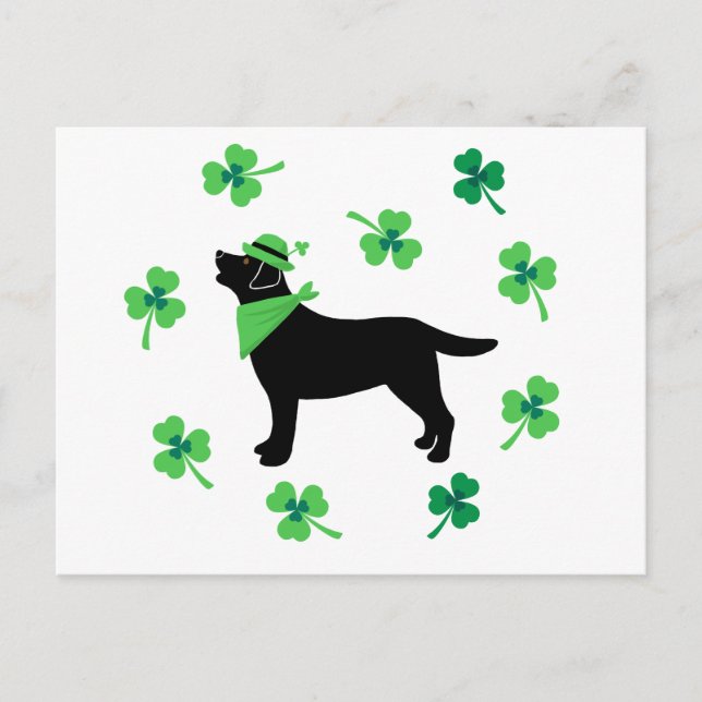 Black Labrador St. Patrick's Day Shamrock Leaves Postcard (Front)