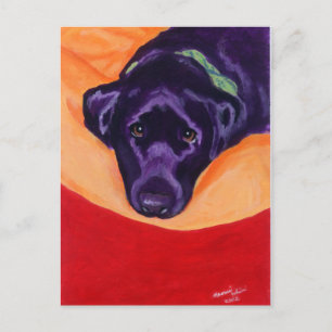Black Labrador Staring Painting Postcard