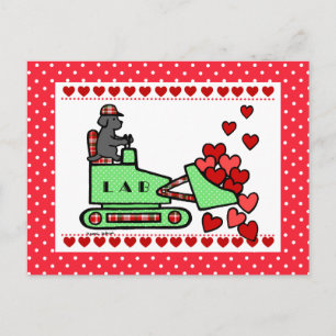 Black Labrador Stole Your Heart Postcard