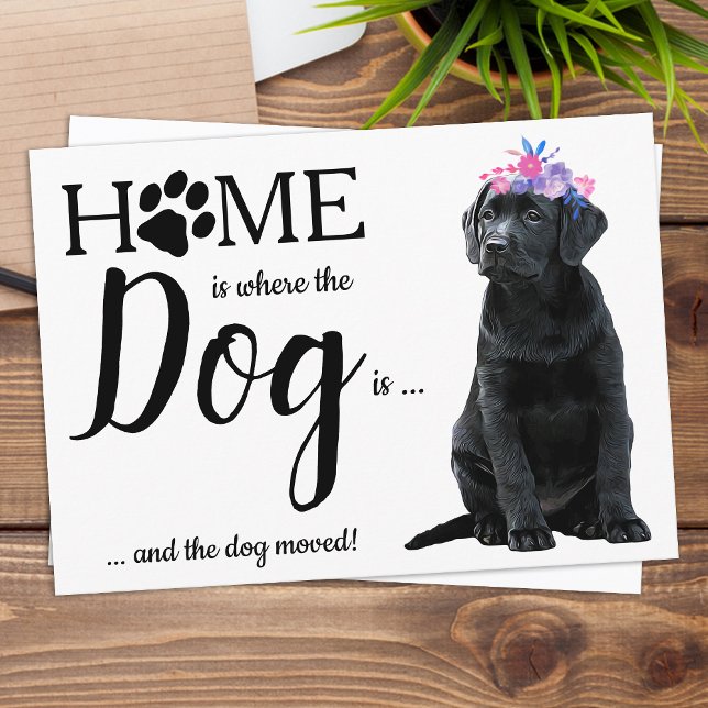 Black Labrador We've Moved Dog Moving Announcement Postcard (Creator Uploaded)