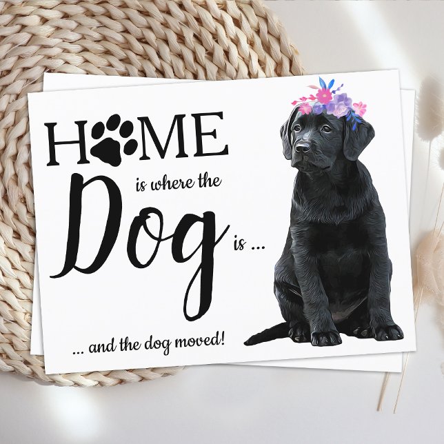 Black Labrador We've Moved Dog Moving Announcement Postcard (Creator Uploaded)