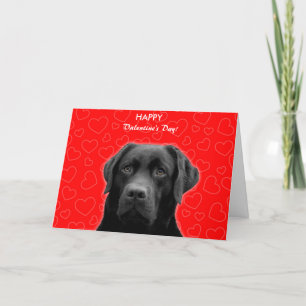 Black Labrador Wishing Happy Valentine's Day Card