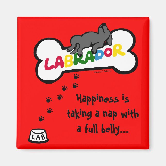 Black Labrador with a full belly Cartoon Magnet (Front)