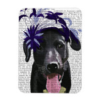 Black Labrador With Blue Fascinator