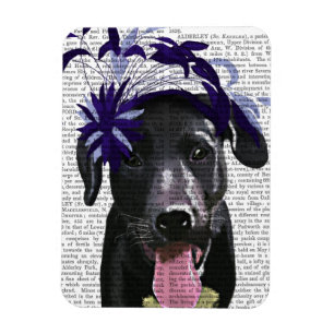 Black Labrador With Blue Fascinator Magnet