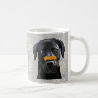 Black Labrador With Bone on Nose 2