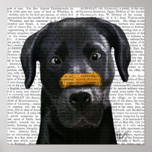 Black Labrador With Bone on Nose Poster