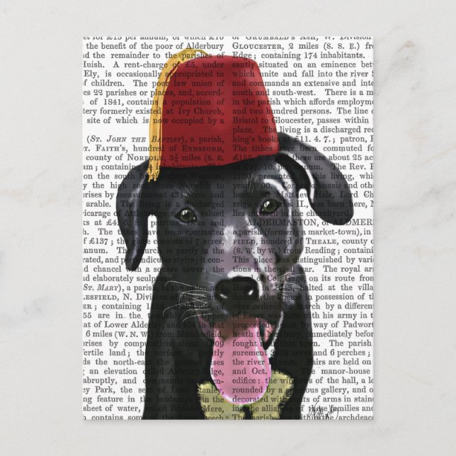 Black Labrador With Fez Postcard (Front)