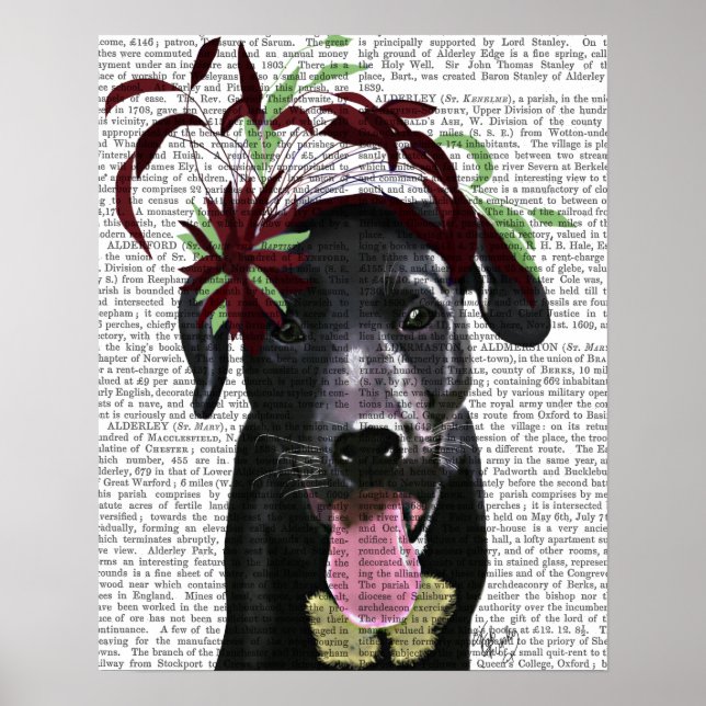 Black Labrador With Green Fascinator Poster (Front)