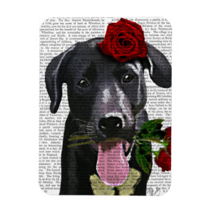 Black Labrador with Roses Magnet