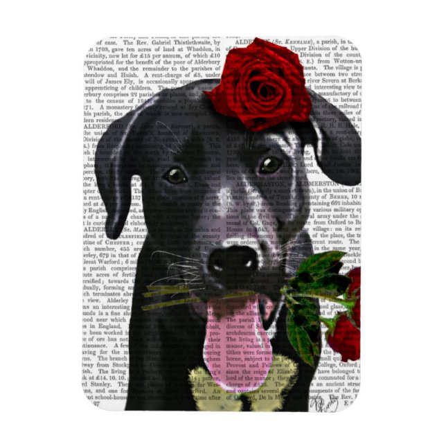 Black Labrador with Roses Magnet (Vertical)