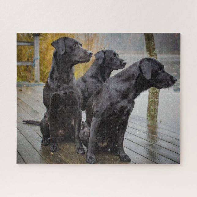 Black Labs on a dock Jigsaw Puzzle (Horizontal)