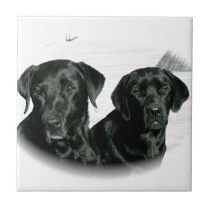 Black Labs Tile