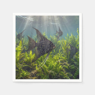 Black Lace Angelfish in Seaweed Napkin