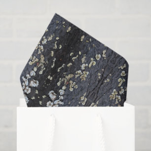 Black Lace Tree Bark Tissue Paper