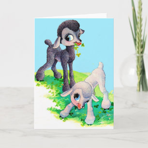 black lamb white lamb card
