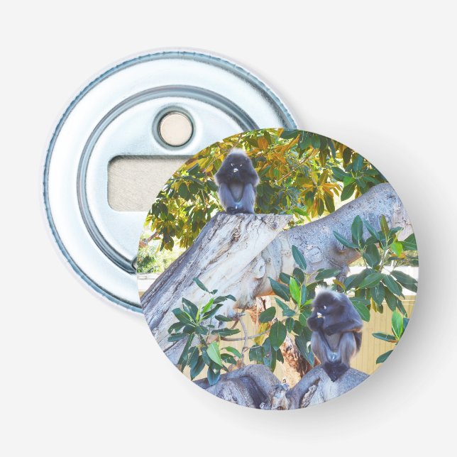 Black Langur Monkeys Eating, Bottle Opener (Front)