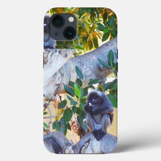 Black Langur Monkeys Eating, iPhone 13 Case (Back)