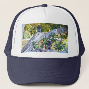 Black Langur Monkeys Eating, Truckers Hat