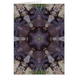 Black Leopard Kaleidoscope Card