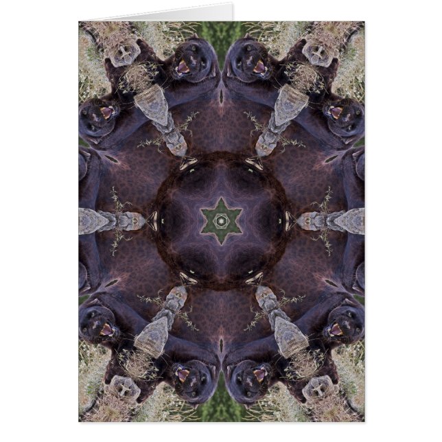Black Leopard Kaleidoscope Card (Front)