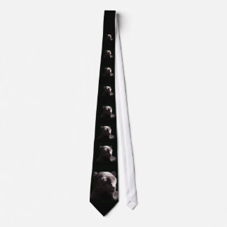Black Leopard Tie