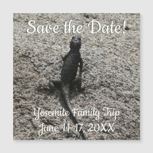 Black Lizard (Front)