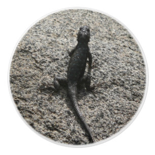 Black Lizard Ceramic Knob