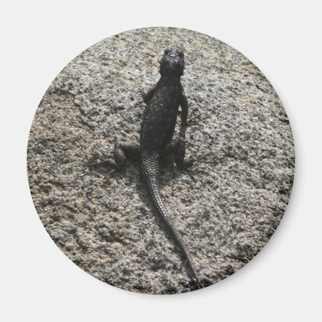 Black Lizard Magnet (Front)