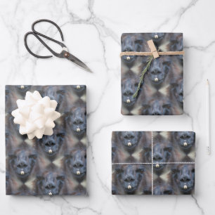 Black Llama Face Nature Pattern  Wrapping Paper Sheet