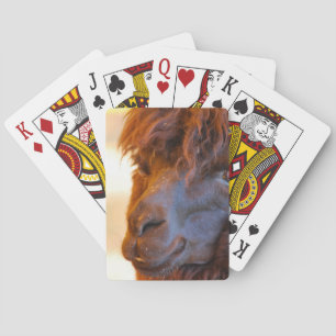 Black Llama Playing Cards