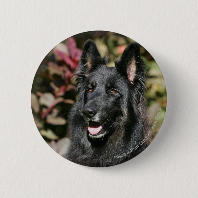 Black Long Haired German Shepherd 6 Cm Round Badge (Front)