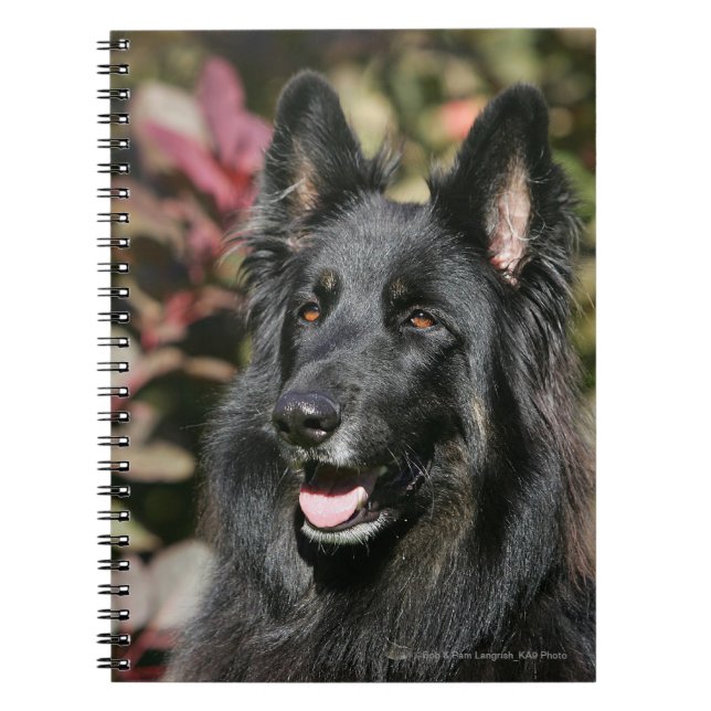 Black Long Haired German Shepherd Notebook (Front)