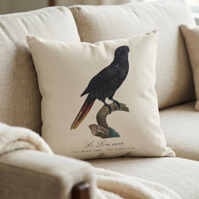 Black Lory or Red-Quilled Lory, Chalcopsitta atra Cushion (Black Lory or Red-Quilled Lory, Chalcopsitta atra. Throw Pillow)
