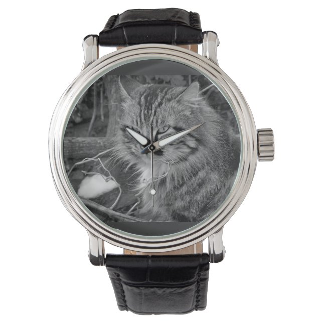 Black Maine Coon Cat Band Watch (Front)