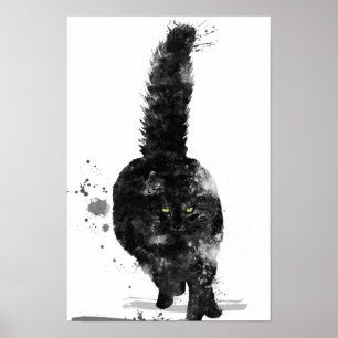 BLACK MAINE COON CAT - POSTER