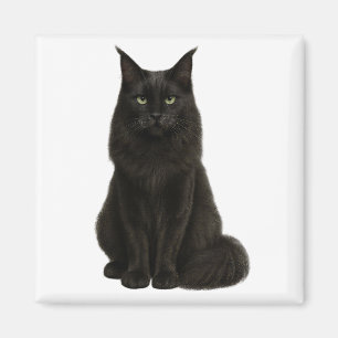 Black Maine Coon Magnet