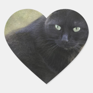 Black male cat with green eyes heart sticker