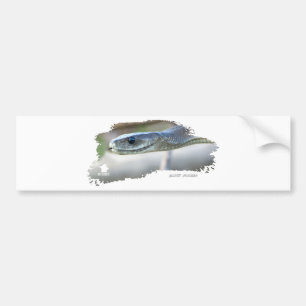 Black Mamba Bumper Sticker
